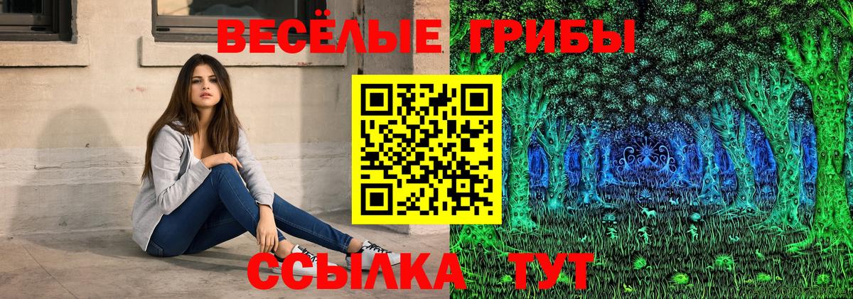 Галлюциногенные грибы Psilocybe Воскресенск